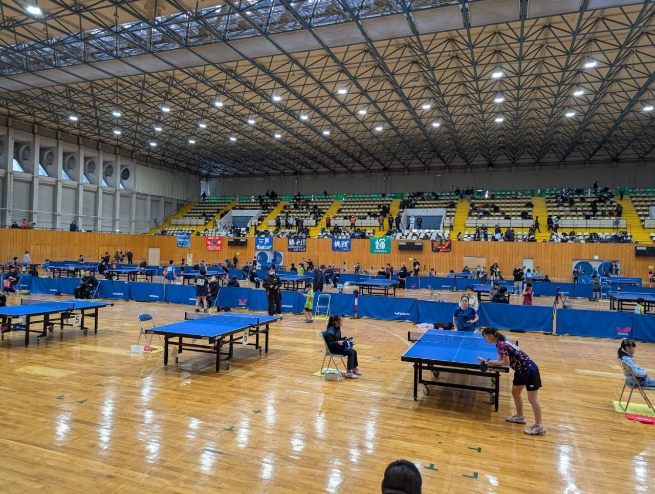 スライド画像 6